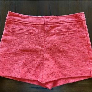NWT Trina Turk palm desert shorts
